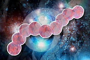 Strep Throat Streptococcus Pneumonia