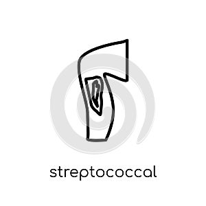 Streptococcal infection icon. Trendy modern flat linear vector S photo