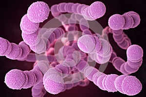 Streptococcus Pneumoniae Bacteria photo
