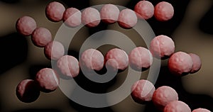 Streptococcus pyogenes in 3d illustration