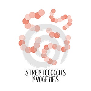 Streptococcus Pyogenes, pathogen. Spherical, gram-positive bacteria. Morphology. Microbiology