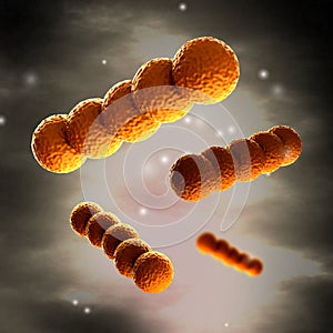 Streptococcus - Spherical Gram-positive bacteria in detail photo