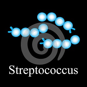 Streptococcus structure. Bacteria streptococcus. Infographics. Vector illustration on isolated background.