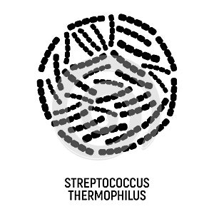 Streptococcus Thermophilus Icon. Probiotic Concept Logo and Label. Health Research Symbol, Icon and Badge. Simple and Black Vector