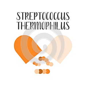 Streptococcus thermophilus. Probiotics. Lactic acid bacteria. Good bacteria and microorganisms for gut and intestinal flora health