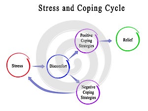 Stress and Coping Cycle