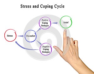 Stress and Coping Cycle