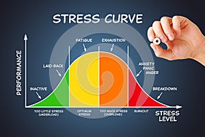 Stress Curve Graph Diagram With Different Stages