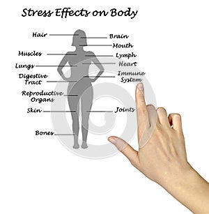 Stress effects on body