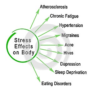 Stress Effects on Body