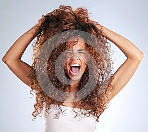 Stress, hair care or messy with woman, frustrated or salon disaster on grey studio background. Person, girl or model