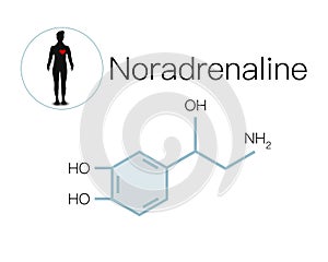 Stress hormones noradrenaline super quality abstract business picture