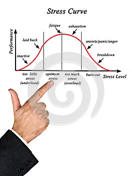 Stress and Performance Curve