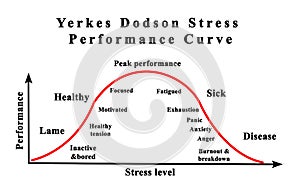 Stress Performance Curve