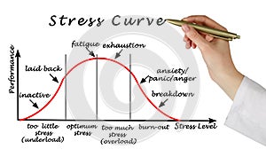 Stress and Performance Curve