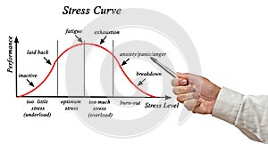 Stress and Performance Curve