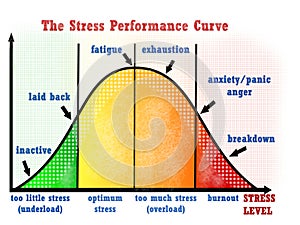 Stress performance curve visual chart