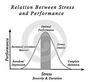 Stress and Performance