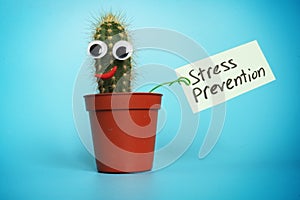 Stress prevention sign and cactus