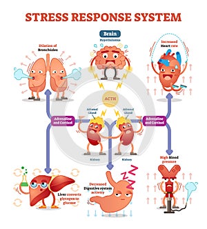 Stress response system vector illustration diagram, nerve impulses scheme.