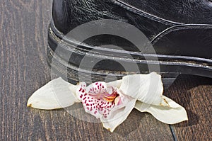 Stress visual interpretation with orchid flower