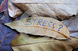 Stress written on leaf