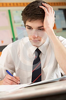 Stressed Male Teenage Student Studying