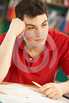 Stressed Male Teenage Student Studying