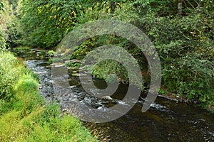 A stretch of the Alsea River near Alsea, Oregon