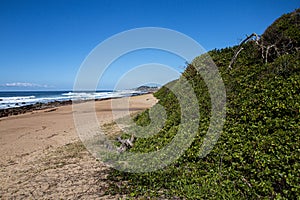 Stretch of Beach and Vegetation with Layered Rocks on Shoreline