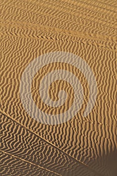 Striated Desert Sand Patterns Criss-crossed by buggies