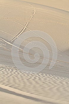 Striated Desert Sand Patterns Criss-crossed by buggies