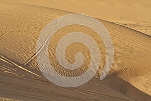 Striated Desert Sand Patterns Criss-crossed by buggies