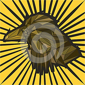 Strict brown bird on a yellow background