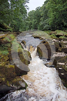 The Strid