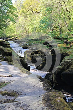 The Strid -Bolton Abbey