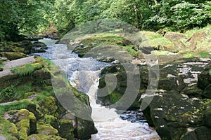 The Strid, norrowest point, River Wharfe