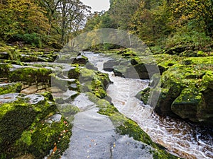 The Strid, River Wharfe, near Bolton Abbey