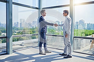 Striking big deals together. two businessmen shaking hands in an office.