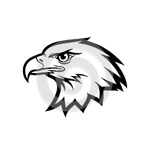 Bold Eagle Head Logo Vector Illustration