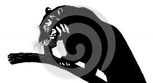 Tiger Silhouette on Tree Branch Vector Illustration