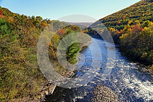 Striking colors of fall foliage near Lehigh River, Jim Thorpe, Pennsylvania, U.S