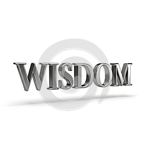 3D Metallic Wisdom Text on White Background