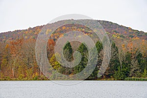 Striking fall foliage by the lake near Mount Pisgah State Park, Troy, Pennsylvania, U.S