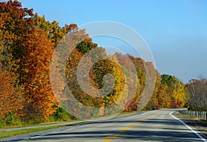 Striking fall foliage on the road near Ivy Lea, Canada