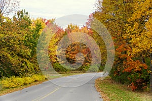 Striking fall foliage on the road near Wellesley Island State Park, New York,U.S.A