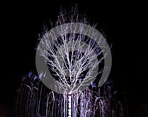 Dramatic Leafless Tree Against Night Sky