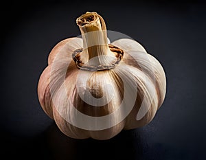 Single Head of Fresh Garlic on Dark Background