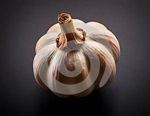 Single Head of Fresh Garlic on Dark Background