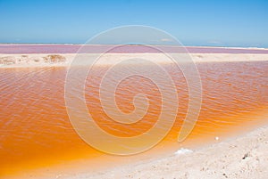 Striking red pool used in the production of salt near Rio Lagartos, Mexico, Yucatan photo